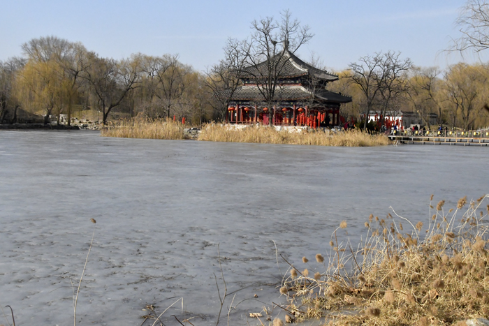 圓明園冬景——李月攝影