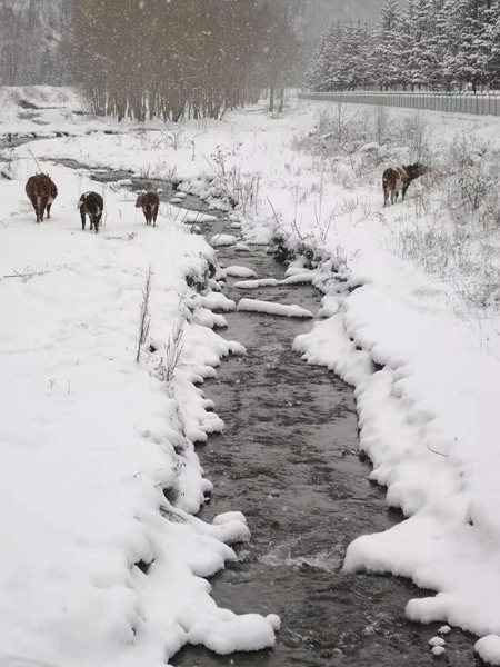 雪中五臺(tái)山