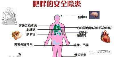 百病之源！肥胖的九大危害，你知道幾個(gè)？