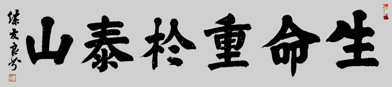 練友良書法作品——眾志成城 抗擊肺炎主題網(wǎng)絡(luò)書畫攝影展優(yōu)秀作品