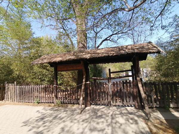 李月手機(jī)拍圖——北京植物園的春天