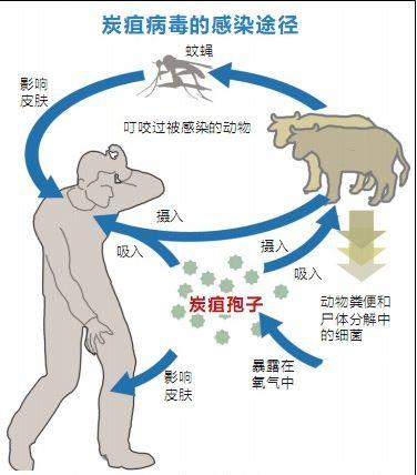 北京疾控提醒：五一出游，人與動物保持距離