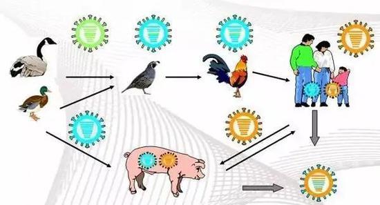 北京疾控提醒：五一出游，人與動物保持距離