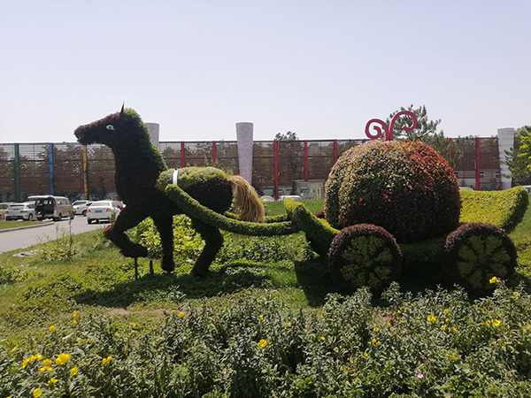 打卡世界花卉大觀園