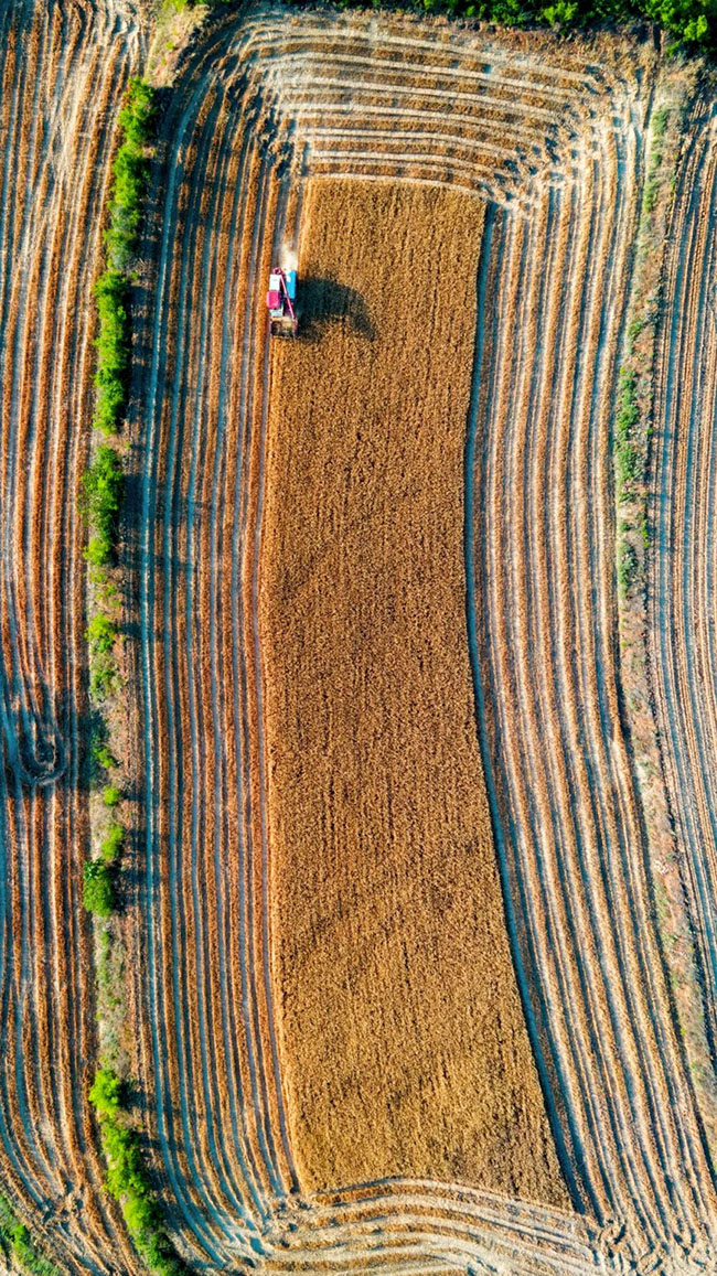 什么是中國(guó)夏天最美的景色？