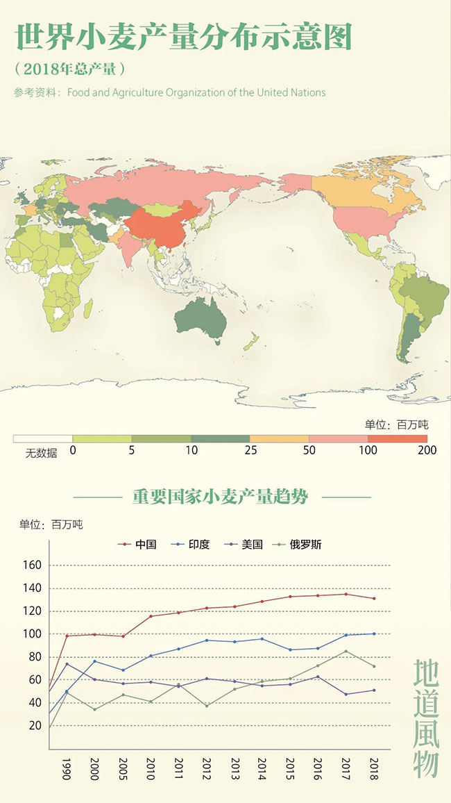 什么是中國(guó)夏天最美的景色？