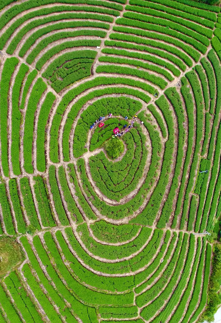 中國第56項(xiàng)世界遺產(chǎn)，為什么是泉州？