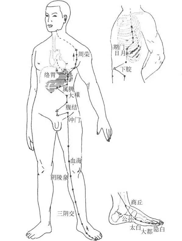 7個方法調(diào)理好你的中焦和脾胃，排出身體寒濕