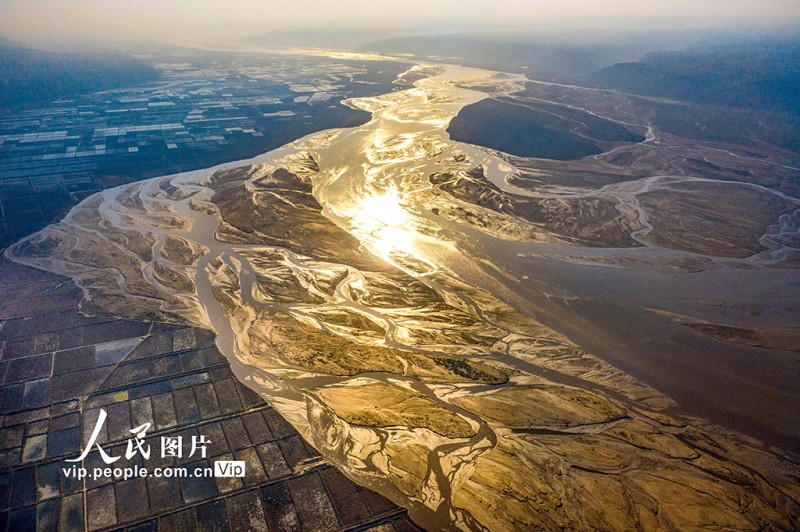 黃河水位下降 河床露出線條形態(tài)各異蔚為壯觀