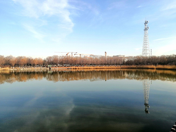 大雪節(jié)氣下的念壇公園