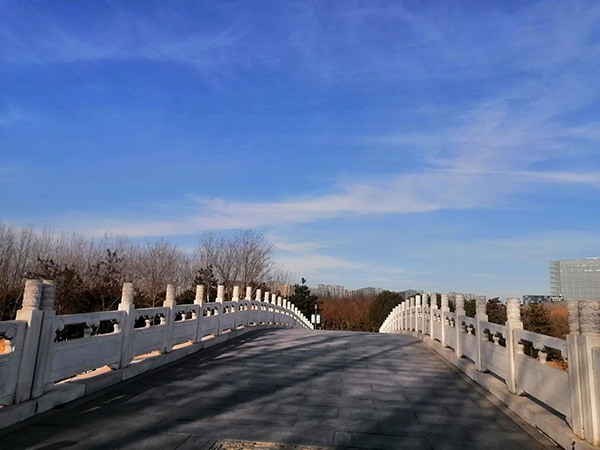 大雪節(jié)氣下的念壇公園