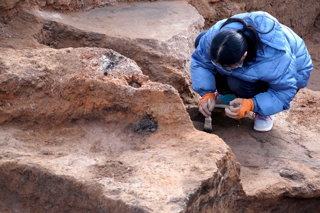 河南蘇羊遺址發(fā)現(xiàn)距今5000年前后多元文化交流重要實(shí)證