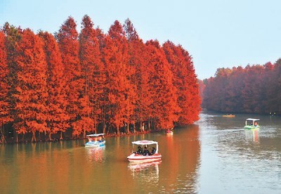 中國旅游走進日常生活