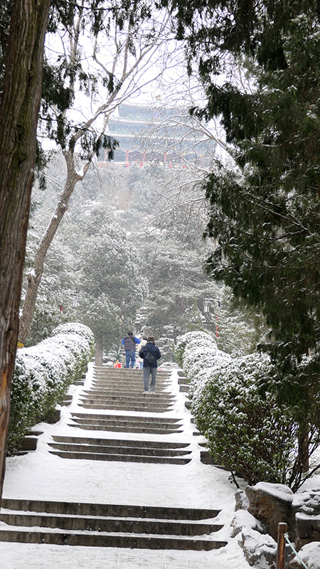 雪中景山公園、故宮