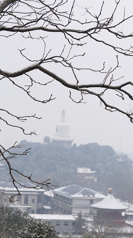 雪中景山公園、故宮