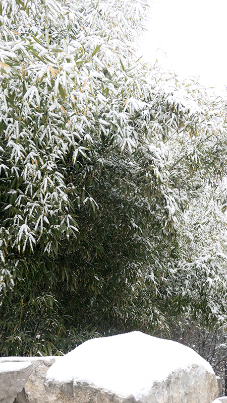 雪中景山公園、故宮