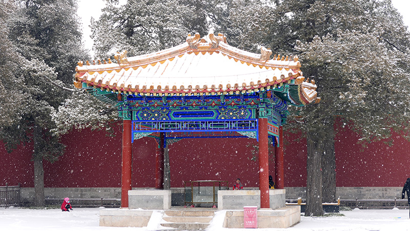 雪中景山公園、故宮——李月攝影