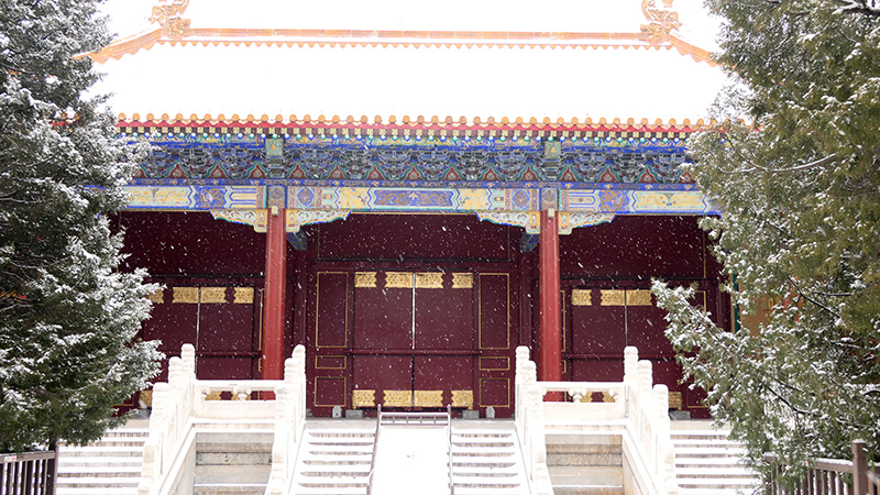 雪中景山公園、故宮——李月攝影