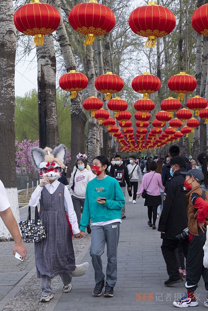 張建華攝影——花開(kāi)玉淵潭 游人如織來(lái)