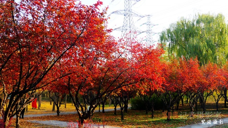 詩畫攝影：癸卯重陽日公園感懷