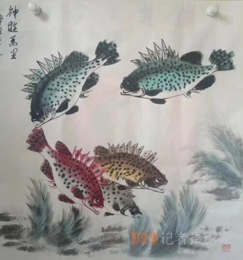 黃河鯉公趙方生畫魚