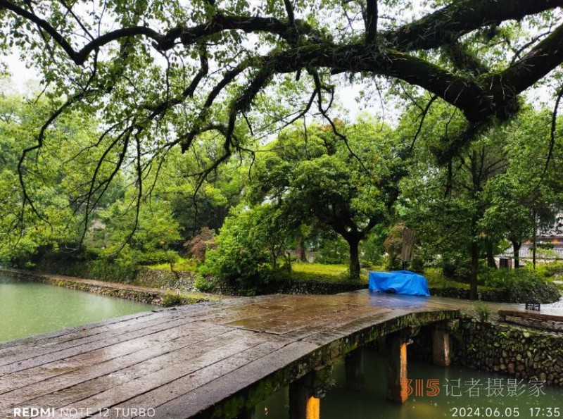 雨潤麗水街