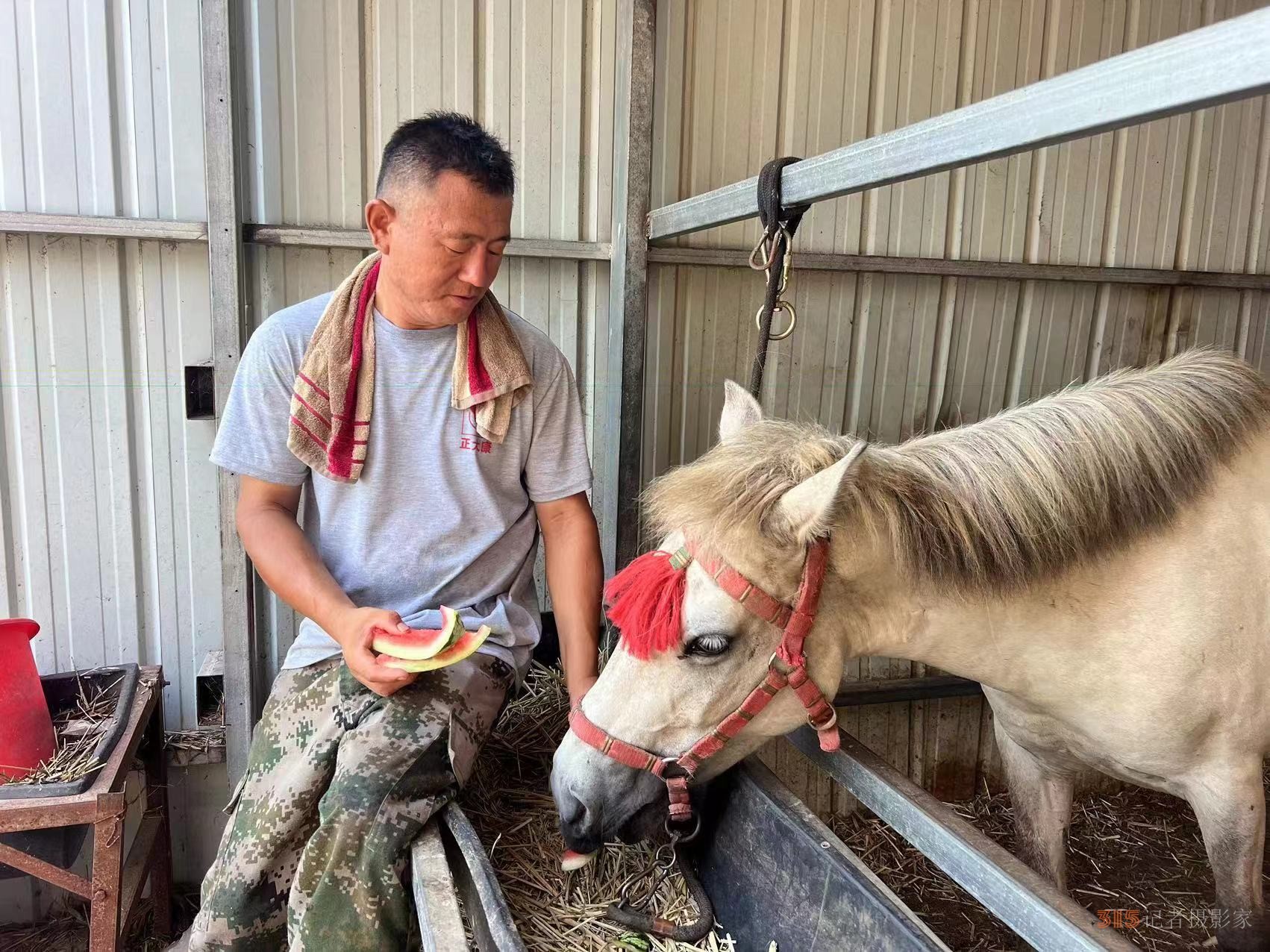 跨界養(yǎng)馬，勤勞致富助力公益救援