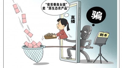 虛假擺拍視頻為何屢禁不止？