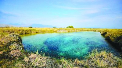 在墨西哥“最佳旅游鄉(xiāng)村”尋找古老生命